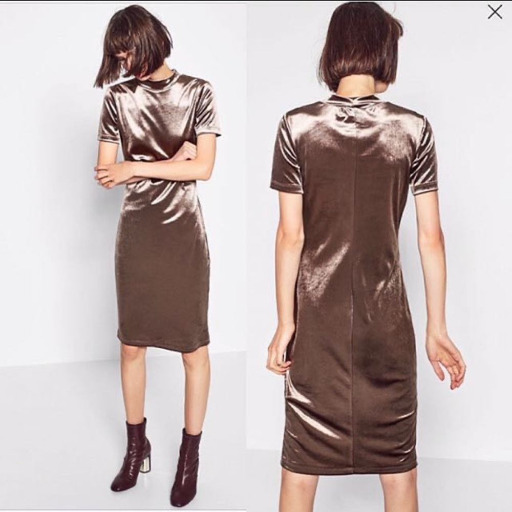 Zara Trafaluc Taupe Velvet Pencil Dress